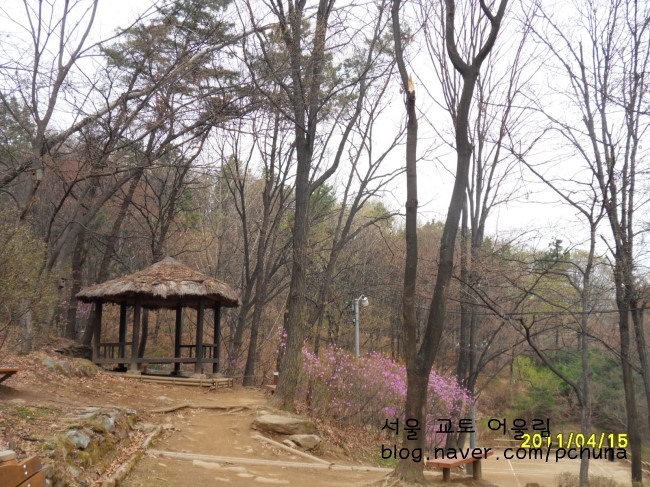 석란화원 이미지