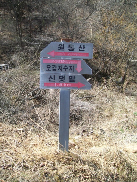 원통산 정상 이미지