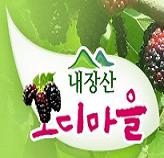 내장산 오디마을 이미지
