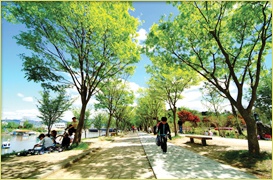 송암리(상) 이미지
