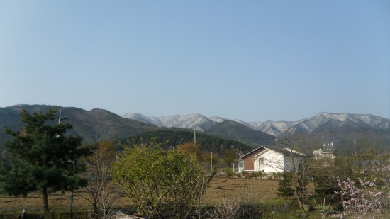 고향소탕집 이미지