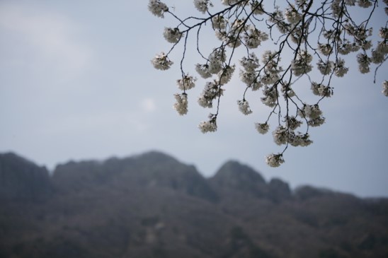 사계절 이미지