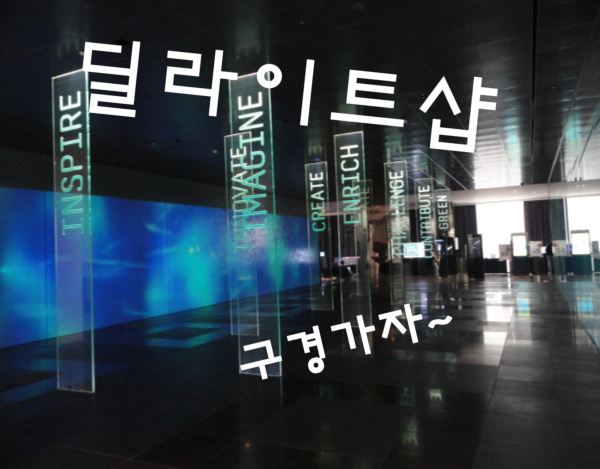 딜라이트비전 이미지
