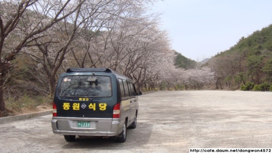 개나리민박 이미지