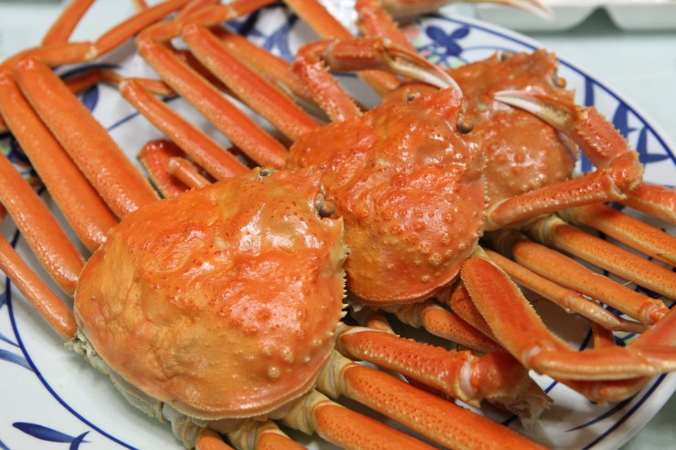 왕돌수산 이미지