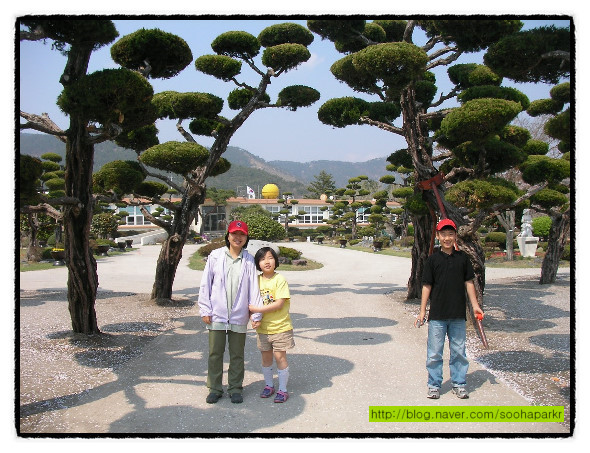 백수초등학교 이미지