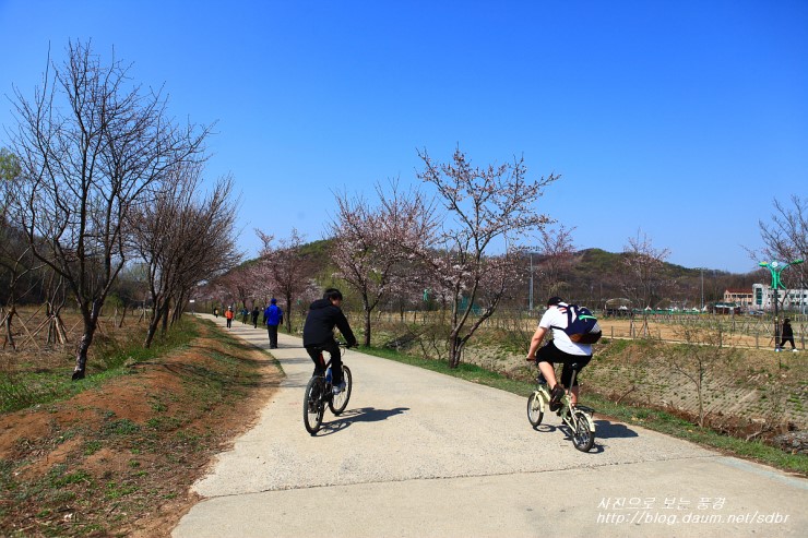 자전거탄풍경 이미지