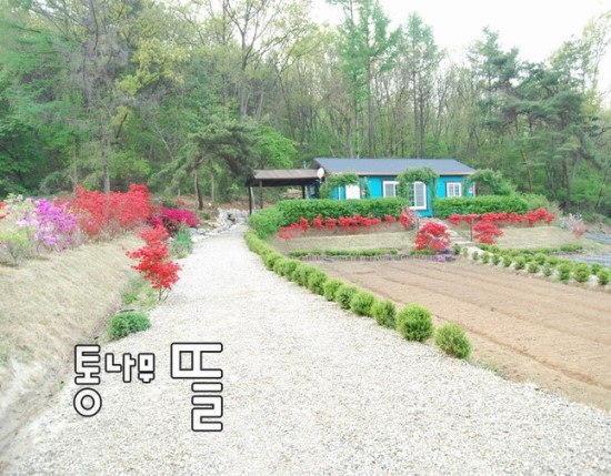 마당예쁜집 이미지