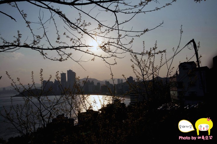 요고조고마켓 이미지