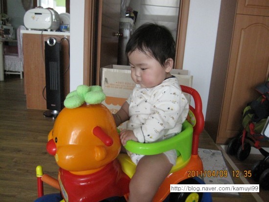 금보 이미지