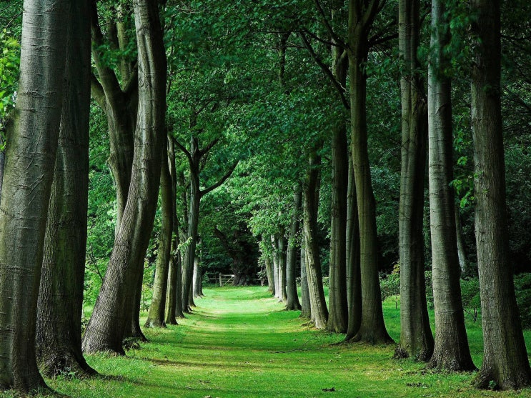 자연 NATURE 이미지