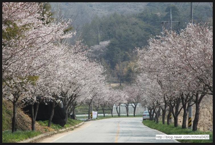 사람과여행 이미지