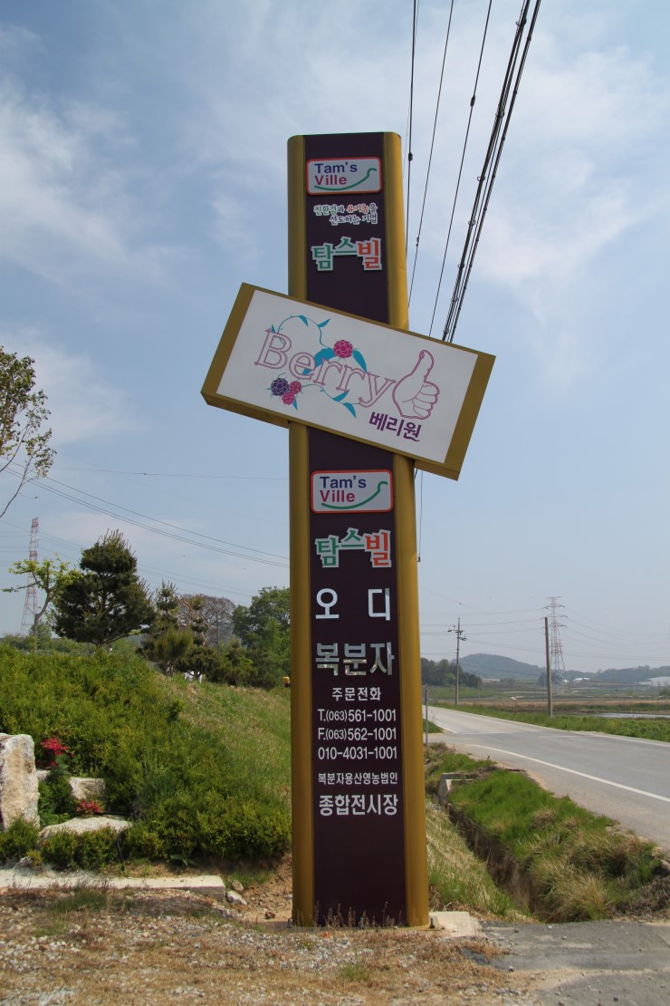 탐스빌 이미지
