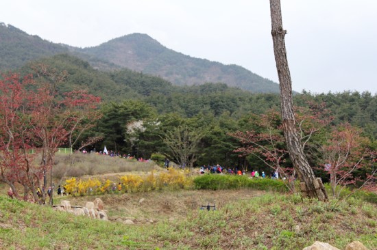 지리산두류실 이미지