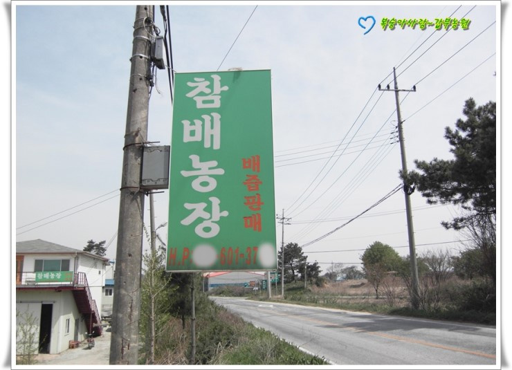참배농장 이미지
