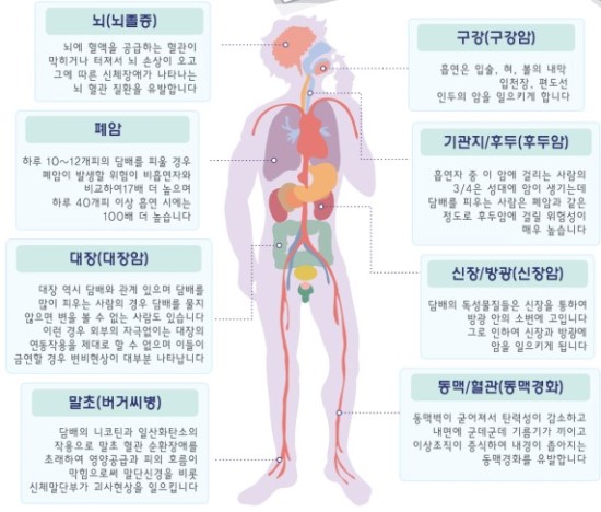 담배가인체에미치는영향 전자담배 로빈스오일 익산점 네이버 블로그