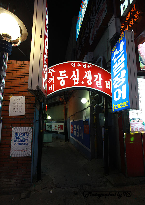 백악관관광나이트 이미지