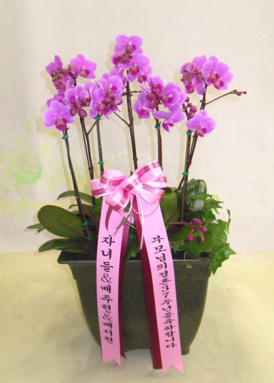 1004꽃집 이미지