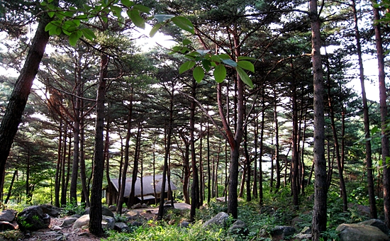 국립자연휴양림관리소 칠보산 자연휴양림 이미지