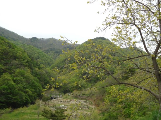 산청덕산광고 이미지