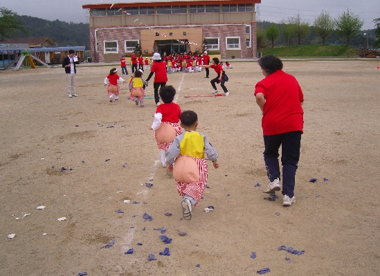 동화초등학교 이미지