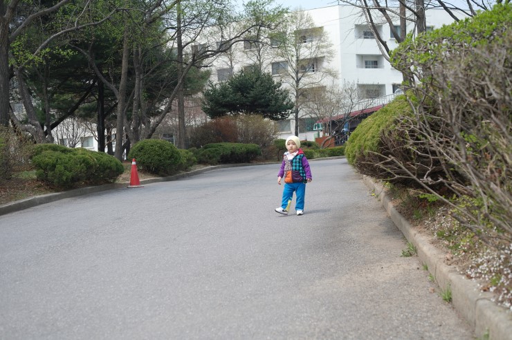 성대카 이미지