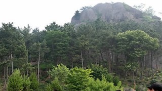 도*환 이미지