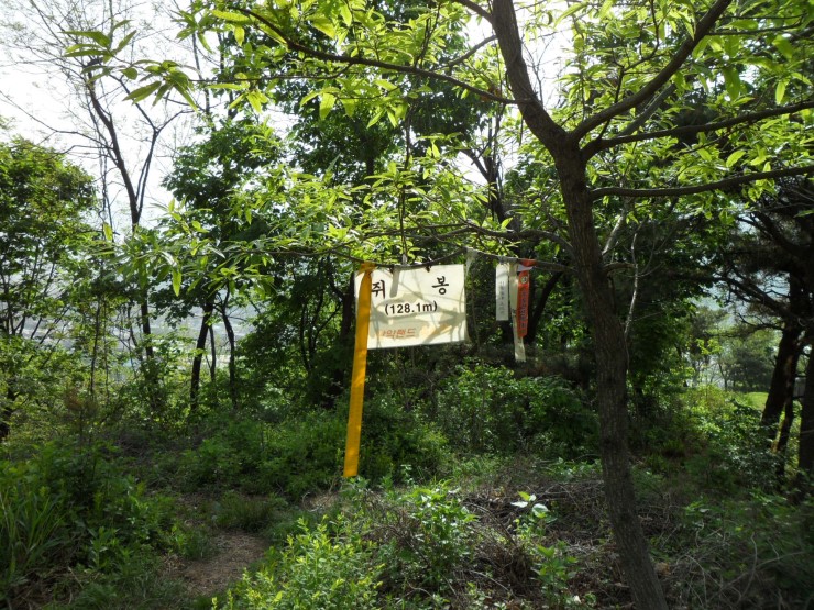 새삶 이미지