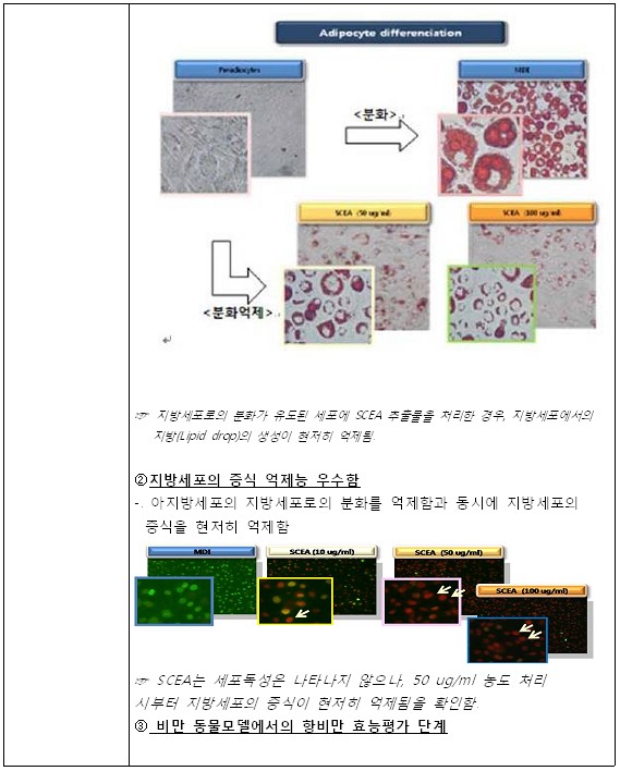 진일회계법인 이미지