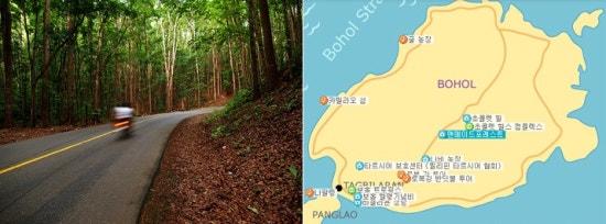 힐메이드 이미지