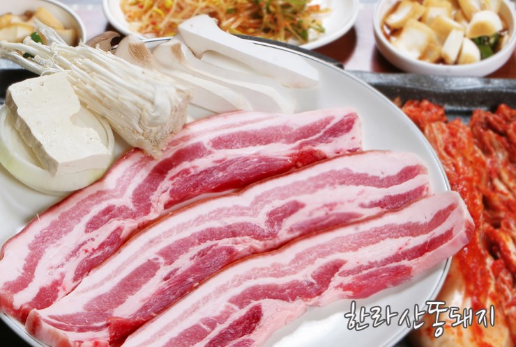 한라산똥돼지 이미지