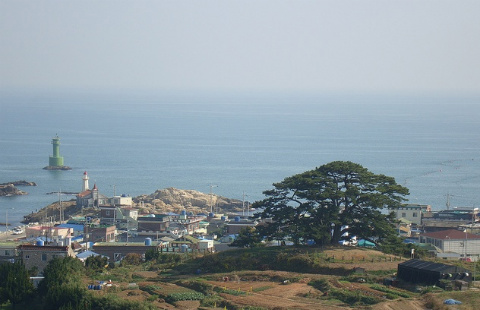 으뜸바이오식품 이미지