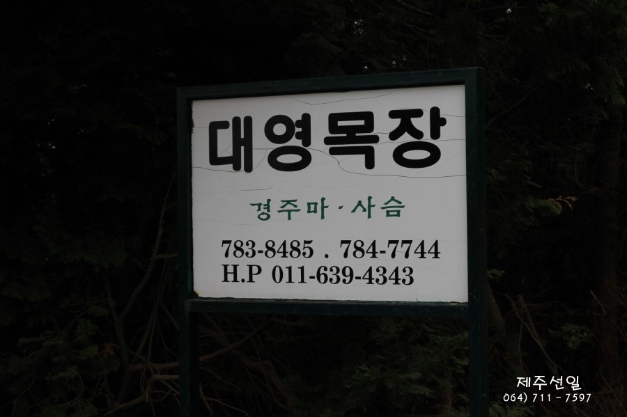 대영목장 이미지