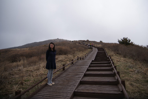 지리산흑도야지 이미지