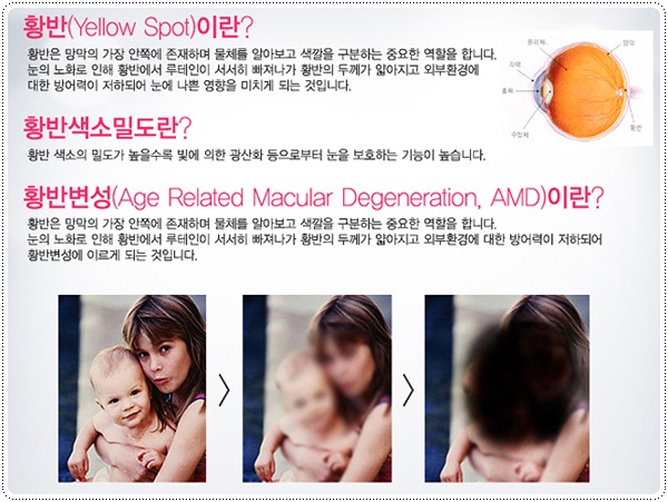 아이케이플러스 이미지
