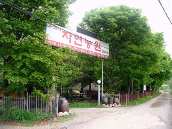 자연오리 이미지