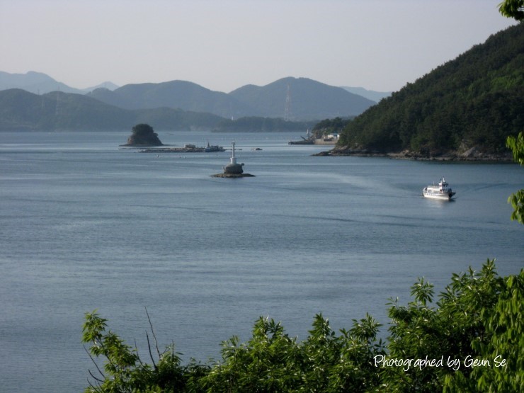 보리수수산식당 이미지