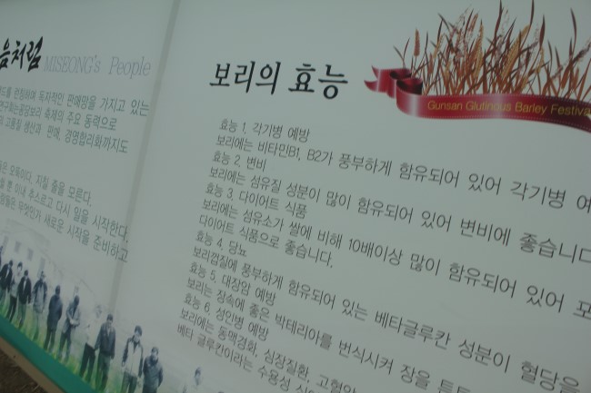 군산꽁보리 이미지
