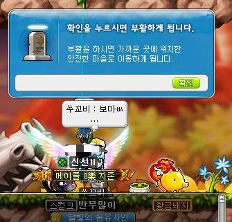 마체통 이미지