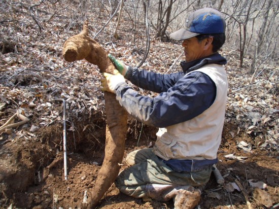 황가식품 이미지