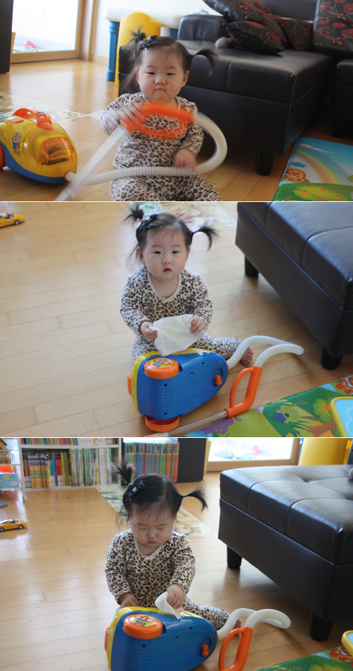 청소쟁이 이미지