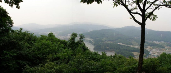우담 이미지
