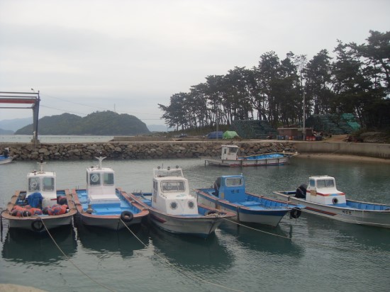 정맘 이미지
