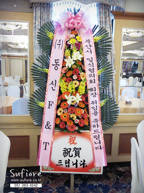 미남상조 이미지
