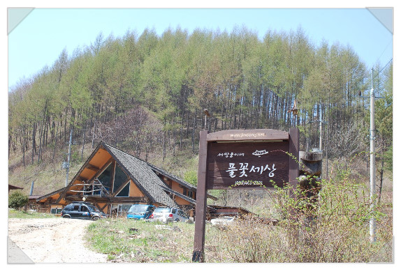세쌍둥이네풀꽃세상 이미지