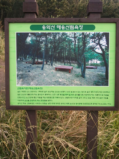 소나무병원 이미지