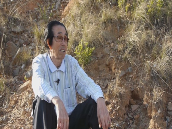 장미이용원 이미지