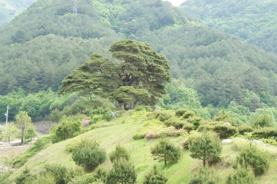 산솔원주 이미지