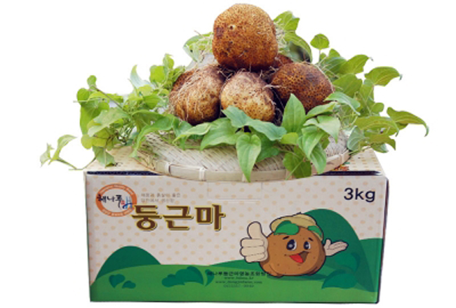 한미사 이미지