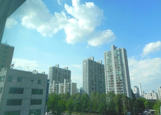 도로마망 이미지